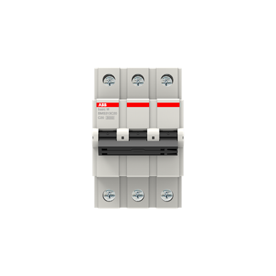 BMS313C20