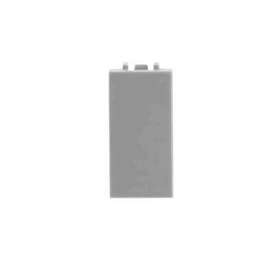 [2CLA210000N1301] Blank cover plate - 1M - Silver