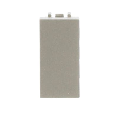 [2CLA210000N1901] Blank cover plate - 1M - Champagne
