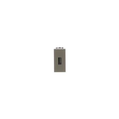 [2CLA215580N1901] USB connection unit - 1M - Champagne