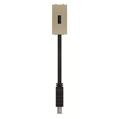 [2CLA215591N1901] USB female-female connection unit with cable - 1M - Champagne
