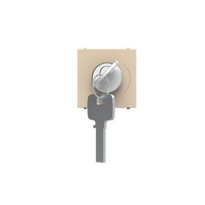 [2CLA225300N1901] Key switch 2 positions - 2M - Champagne