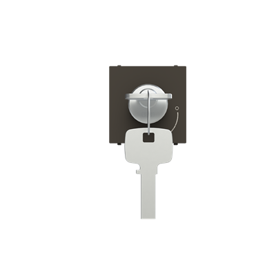 [2CLA225320N1801] Key push-button 2 positions - 2M - Anthracite