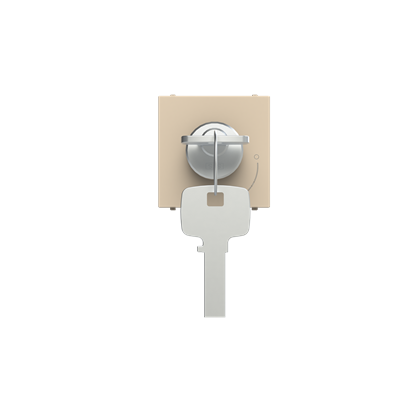 [2CLA225320N1901] Key push-button 2 positions - 2M - Champagne