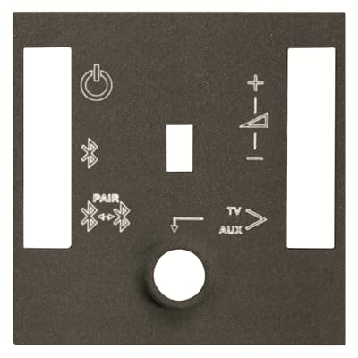 [2CLA226840N1801] Cover plate for BT sound module - 2M - Anthracite